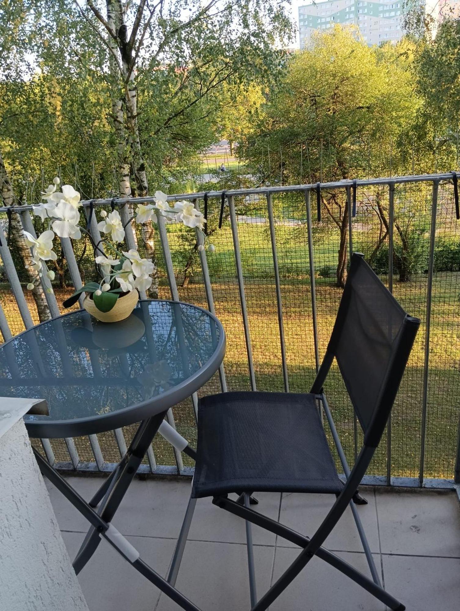 אולז'טין Apartament Telimena מראה חיצוני תמונה