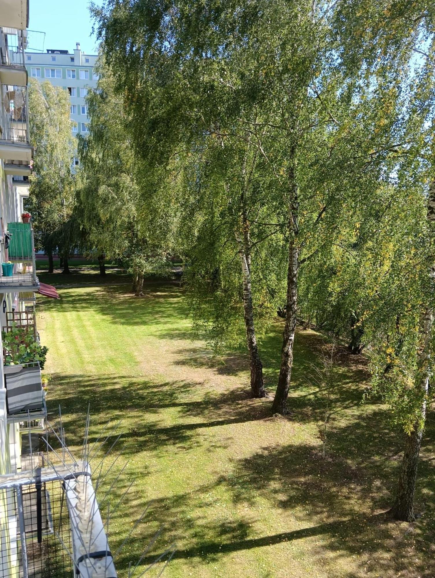 אולז'טין Apartament Telimena מראה חיצוני תמונה